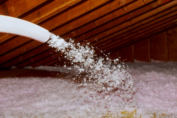 Types of Insulation We Offer in Robstown, TX