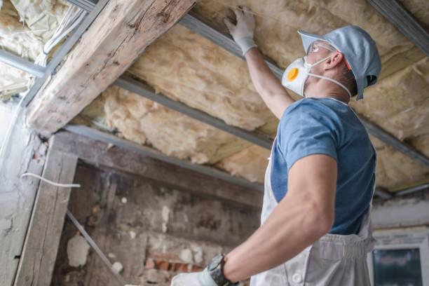Best Energy Efficiency Insulation in Robstown, TX