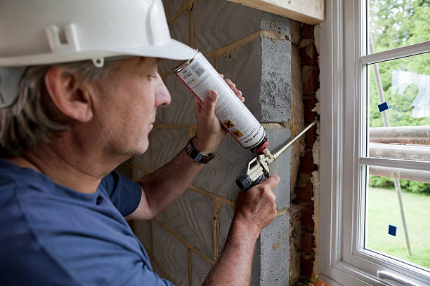 Best Eco-Friendly Insulation in Robstown, TX