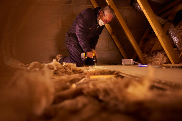 Best Commercial Insulation in Robstown, TX